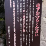 IMG_0261_1