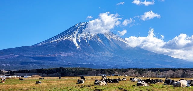 富士山と朝霧高原