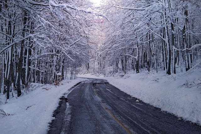 雪道